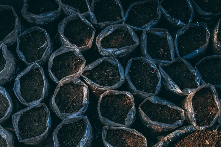 soil, pot plants, plantation
