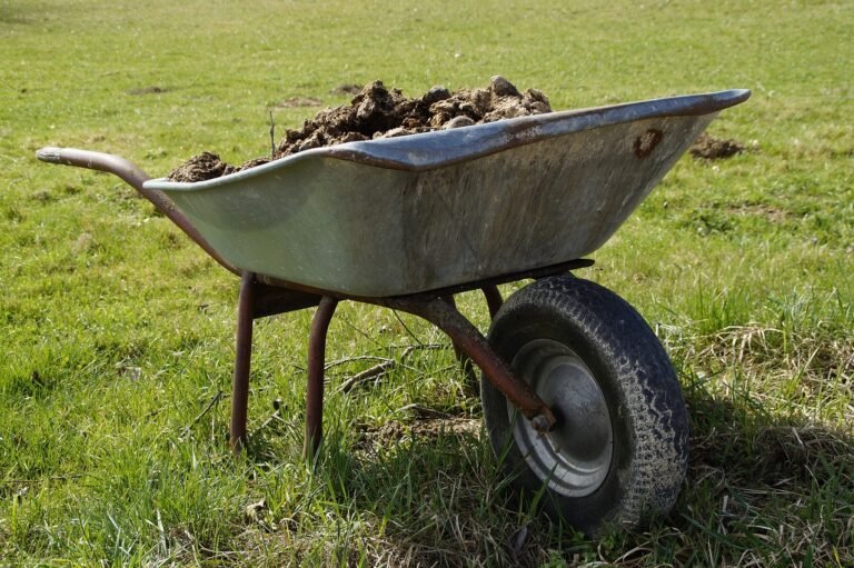 wheelbarrow, farm yard, damn