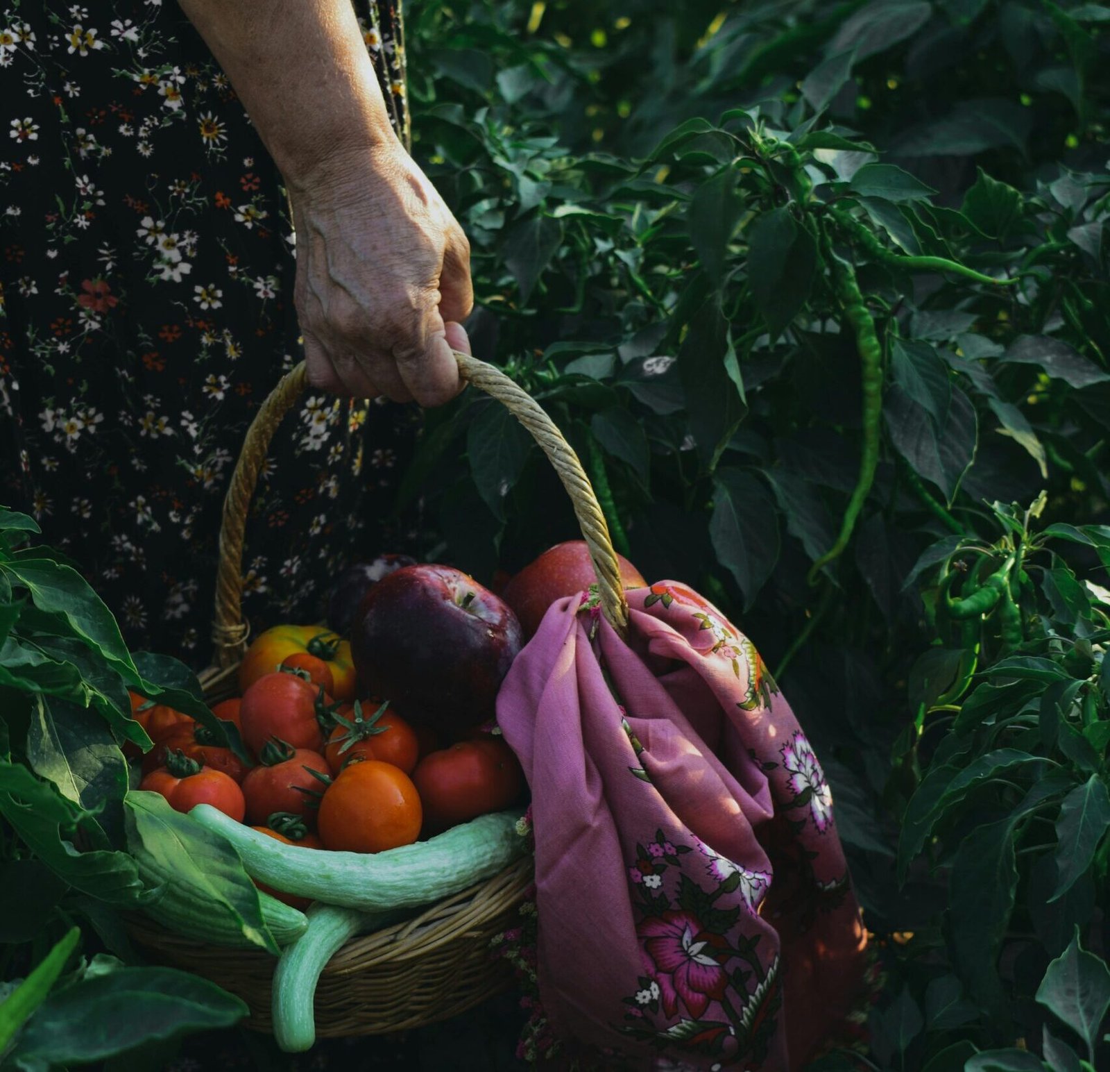A woman holding a basket of vegetables in the middle of a field