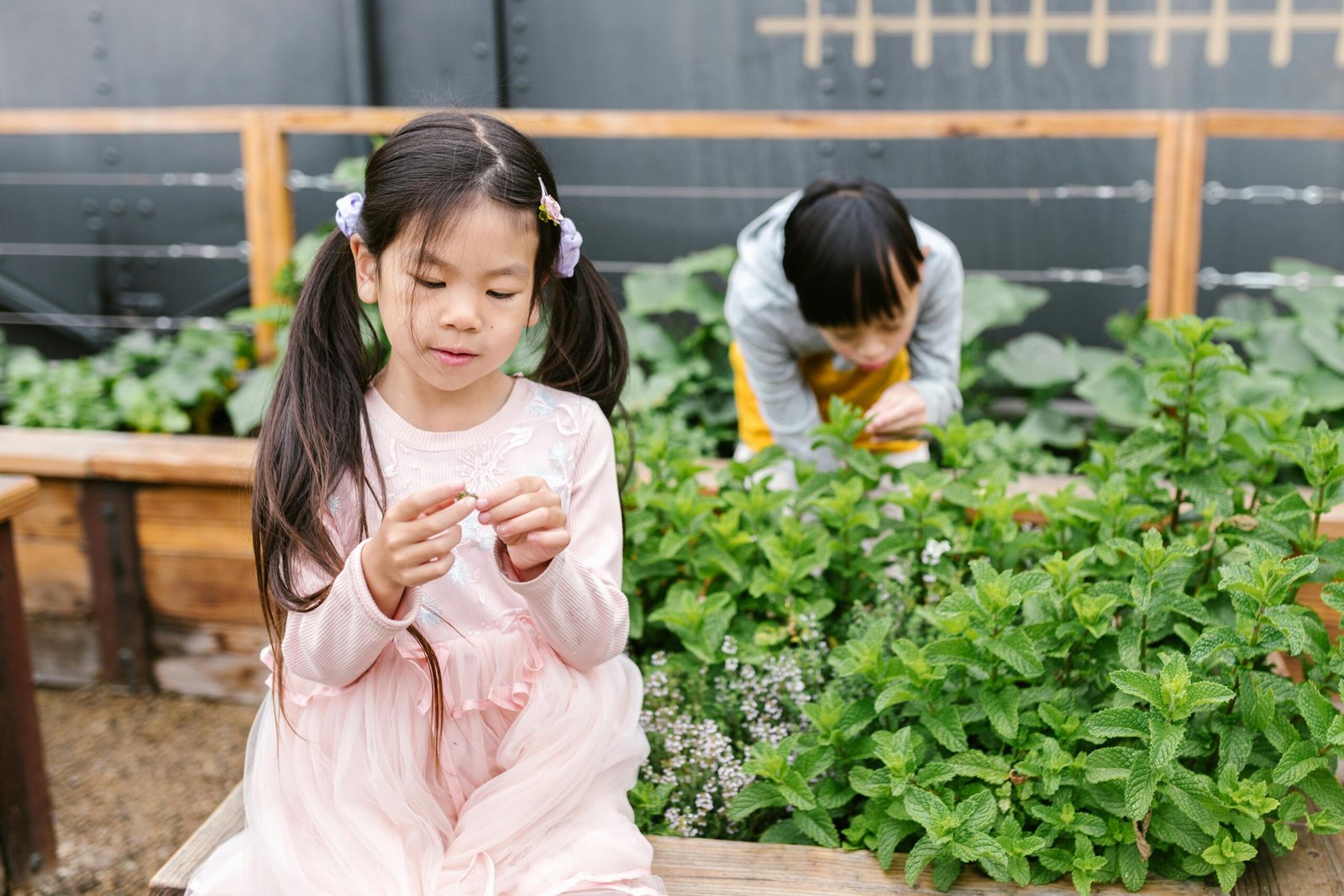 The Importance of Having a Home Garden