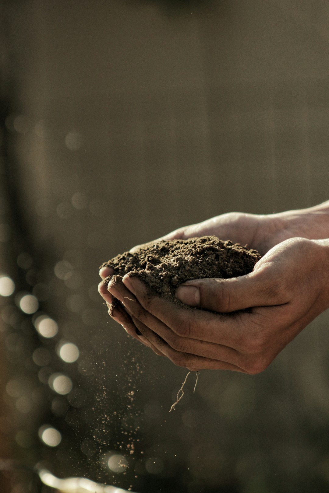 regenerative agriculture executive order