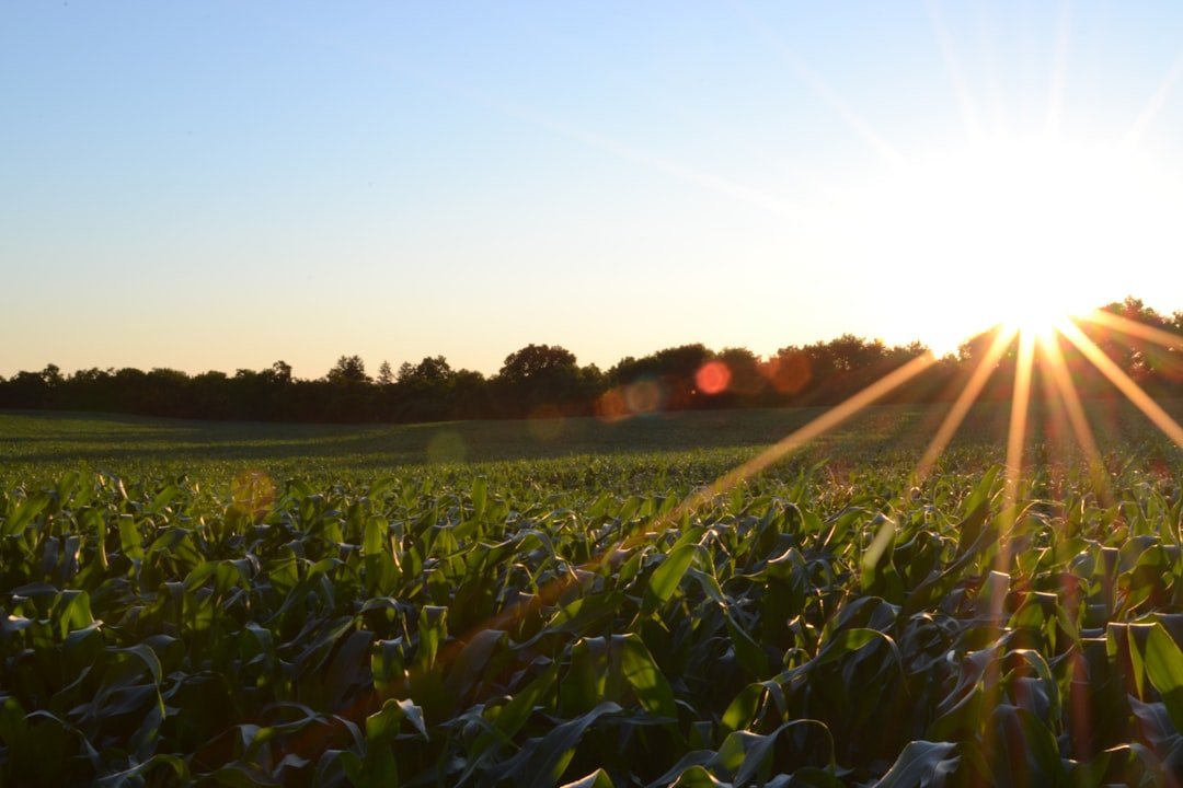 regenerative agriculture executive order