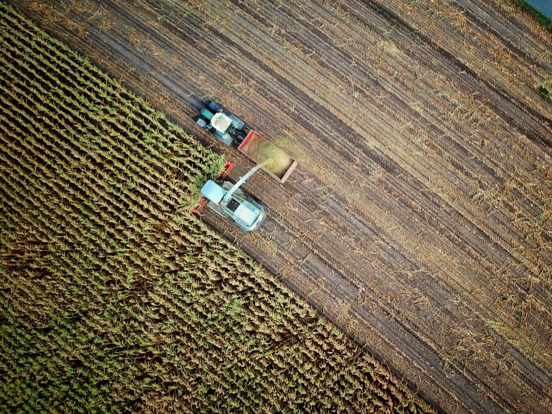 specialty crop assistance program